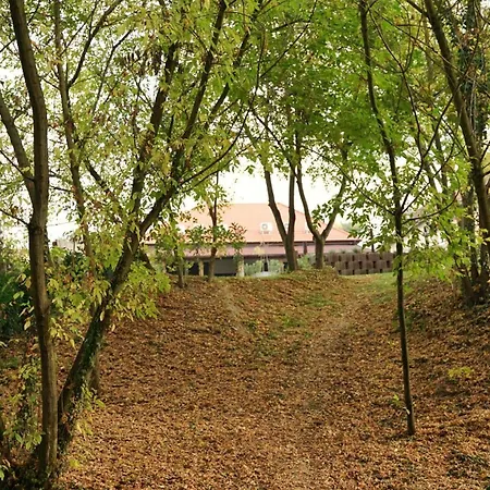 Lomb Lak Vendeghaz Apartament Kozarmisleny
