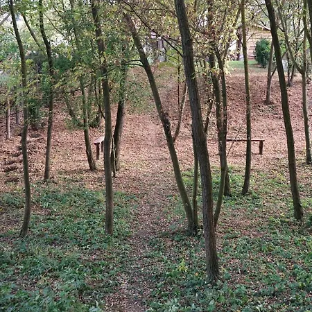 Lomb Lak Vendeghaz *